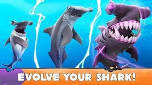 Download Hungry Shark Mod APK (Unlimited Gems, Money, Coins) 3