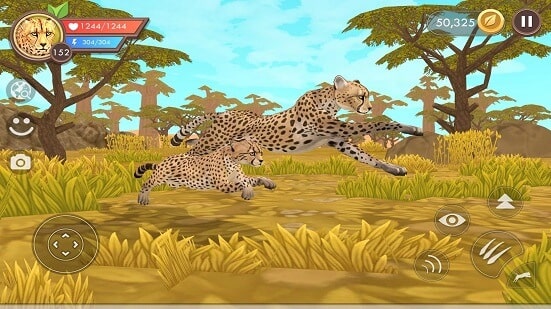 Cheetah in Wild Craft Hacked Game
